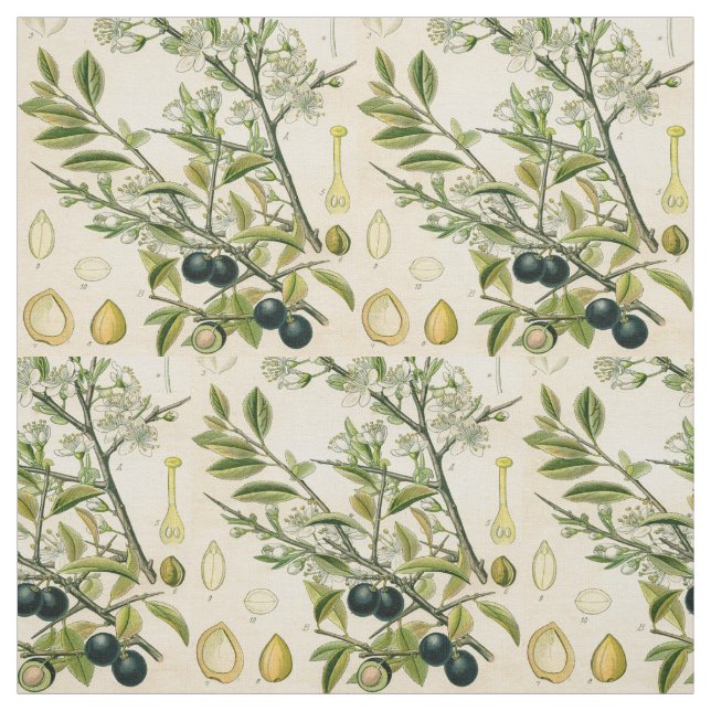 Antique Blackthorn botaniskt tryckfärdigt berry Tyg (Provkarta)