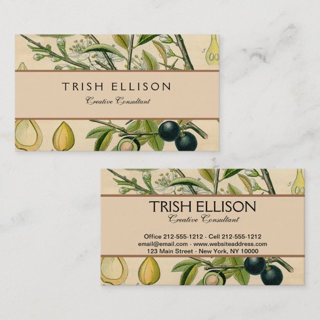 Antique Blackthorn botaniskt tryckfärdigt berry Visitkort (Fram/baksida)