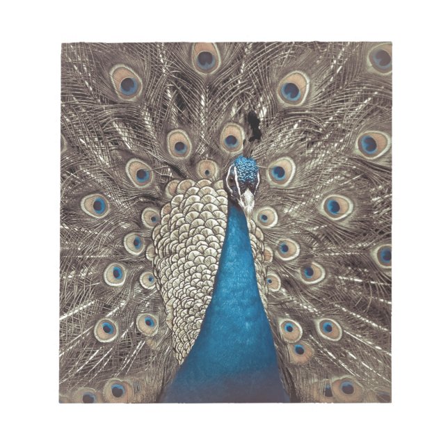 Antique Blue Peacock Anteckningsblock (Framsida)