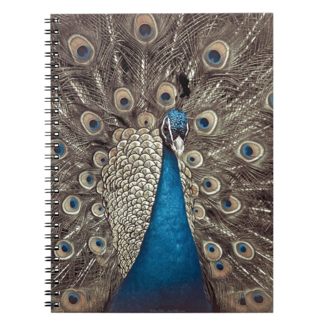 Antique Blue Peacock Anteckningsbok Med Spiral (Framsidan)