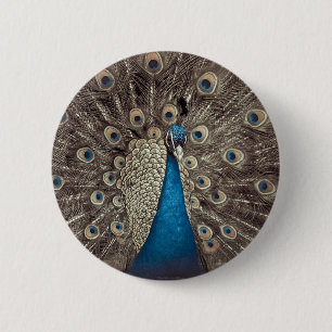 Antique Blue Peacock Knapp