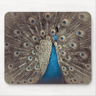 Antique Blue Peacock Musmatta