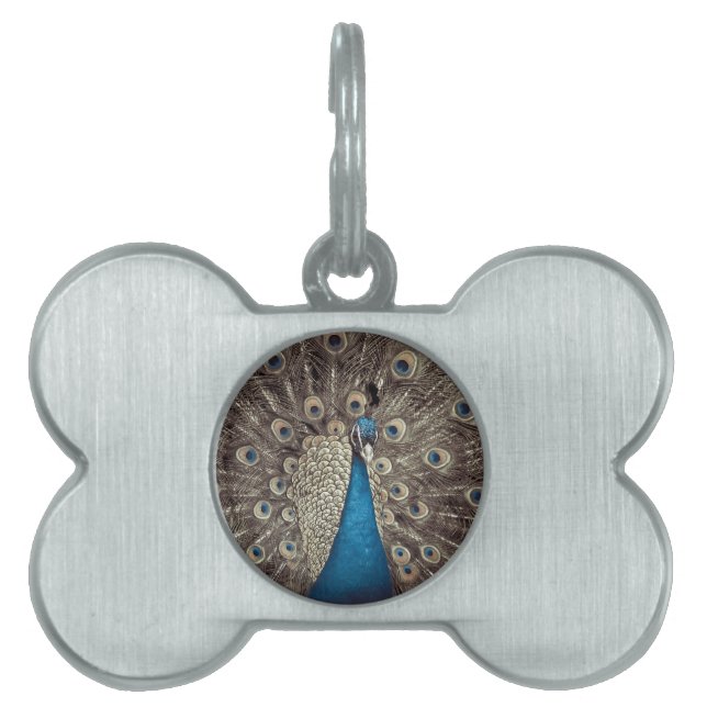 Antique Blue Peacock Namnbricka Husdjur (Framsidan)