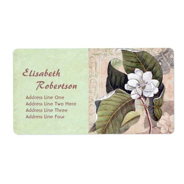 Antique Botanical Print Magnolia Collage Fraktsedel (Framsidan)