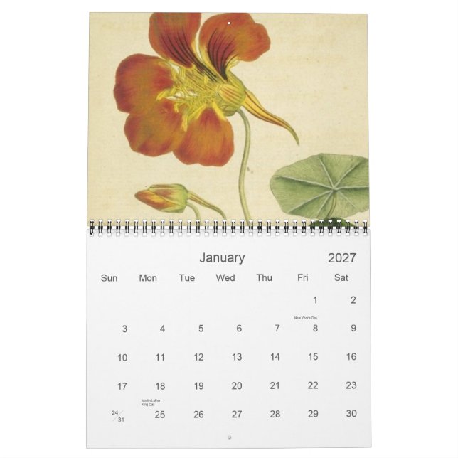 Antique Botanicals Calendar Kalender (Jan 2027)