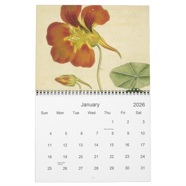 Antique Botanicals Calendar Kalender (Jan 2026)