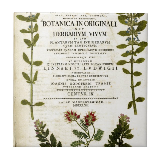 Antique Botany-bokskylt Kakelplatta (Framsidan)