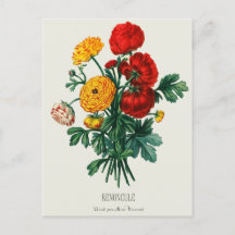 Antique Bouquet, Red & Gult Ranunculus Flowers