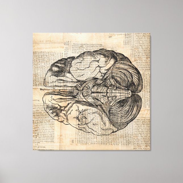 Antique Brain Diagram Old Fashired Art Canvastryck (Framsida)