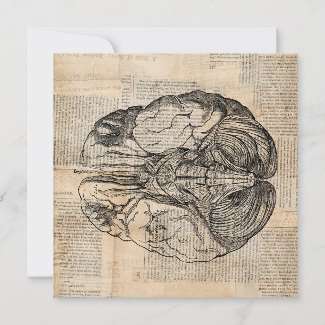 Antique Brain Diagram Old Fashired Art Inbjudningar (Framsida)