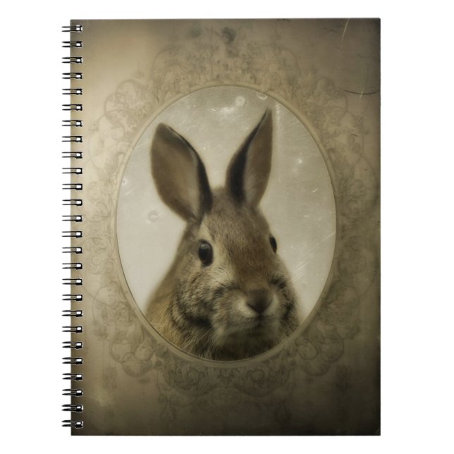 Antique Bunny Porträtt Anteckningsbok (Framsidan)