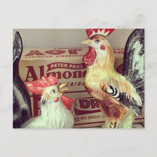Antique Chickens Vykort (Framsida)