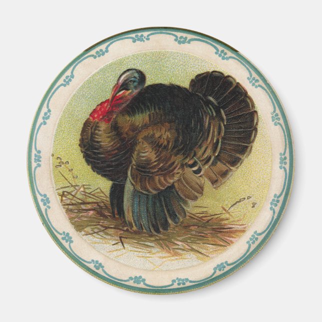 Antique Clapsaddle Turkey Magnet (Framsidan)