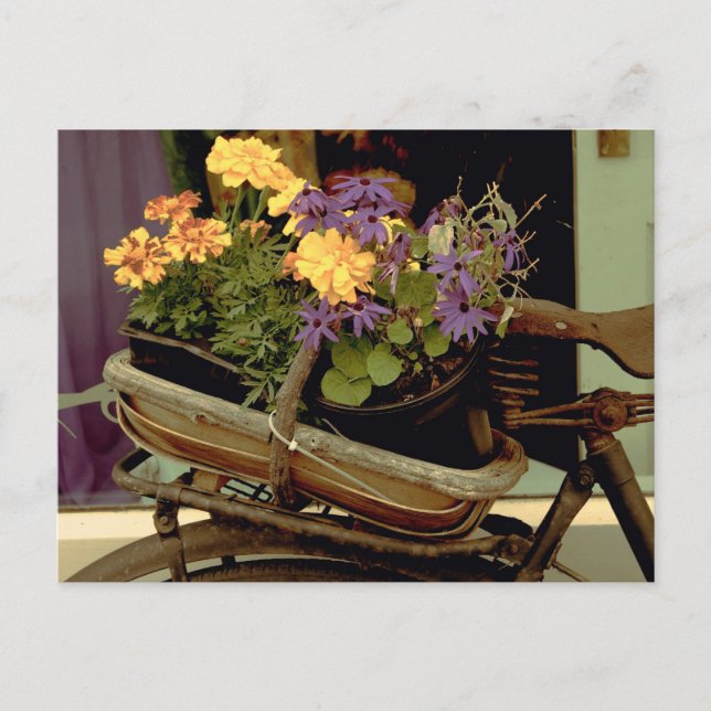 Antique-cykel Vykort (Framsida)