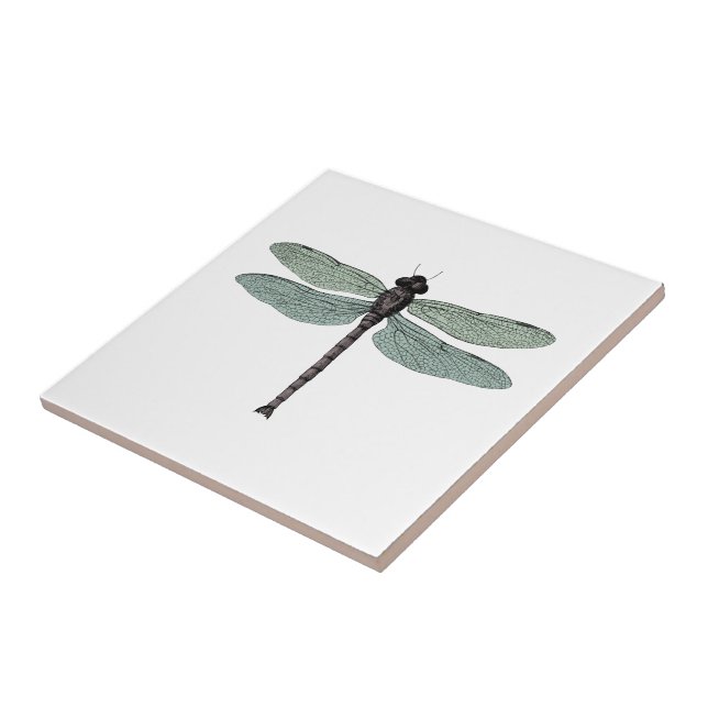 Antique Damselfly Vintage Dragonfly Insekt Tecknin Kakelplatta (Sidan)