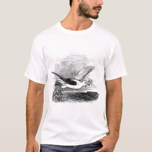 Antique Dove med Olive Gren T Shirt