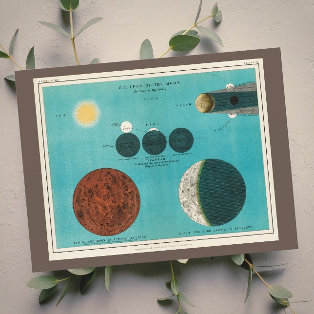 Antique Eclipse of the Måne Teckning, 1908 Postcar Vykort (Skapare uppladdad)