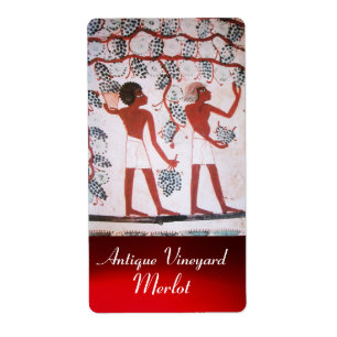 ANTIQUE EGYPTIAN VINEYARD VIN GRAPE HARVEST FRAKTSEDEL