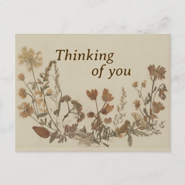 Antique Flower Collage Vykort (Framsida)