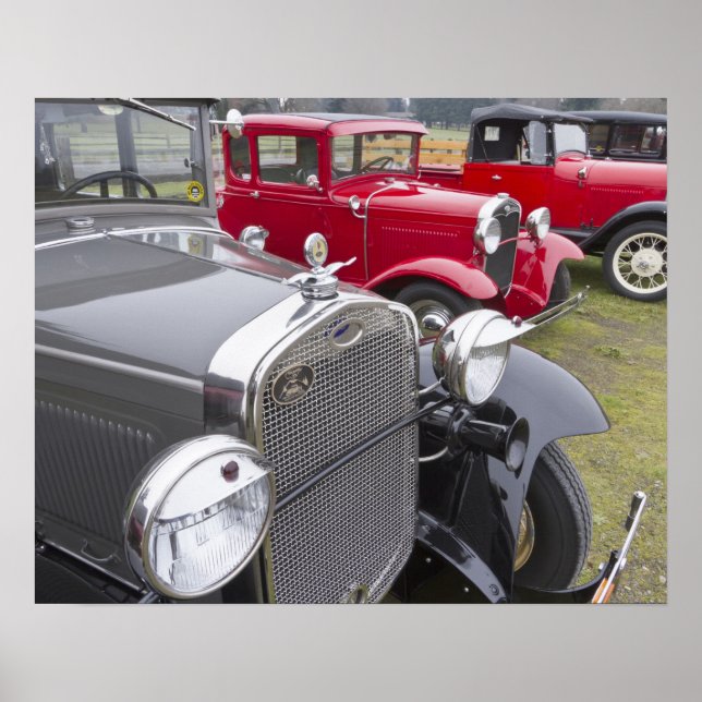 Antique Ford-bilar Poster (Framsidan)