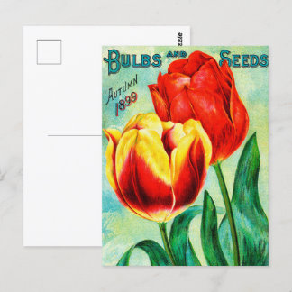 Antique Garden Advertisement, Gult Red Tulips Vykort