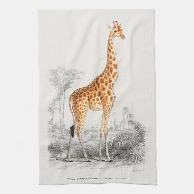 Antique Giraffe Natural History Skriv ut Orbigny Kökshandduk (Vertikal)
