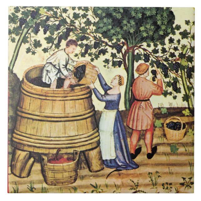 ANTIQUE GRAPE VINEYARD HARVEST KAKELPLATTA (Framsidan)