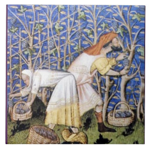 ANTIQUE GRAPE VINEYARD HARVEST KAKELPLATTA