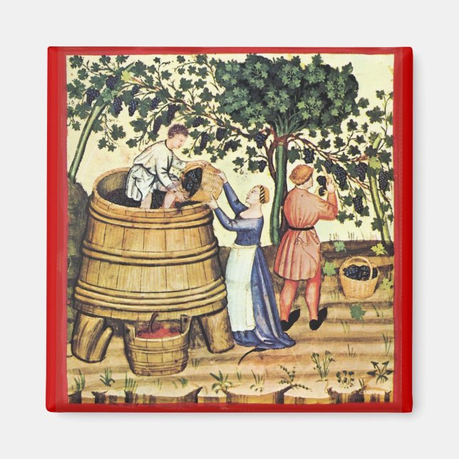 ANTIQUE GRAPE VINEYARD HARVEST MAGNET (Framsidan)