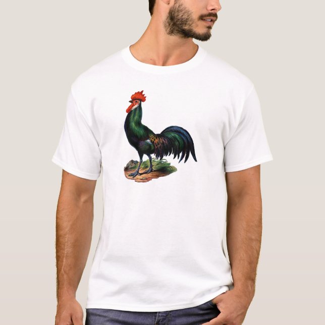 Antique Grönt Feathers Tupp T Shirt (Framsida)