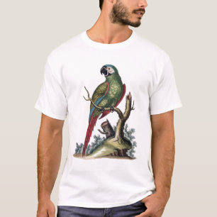 Antique Grönt Parrot T Shirt