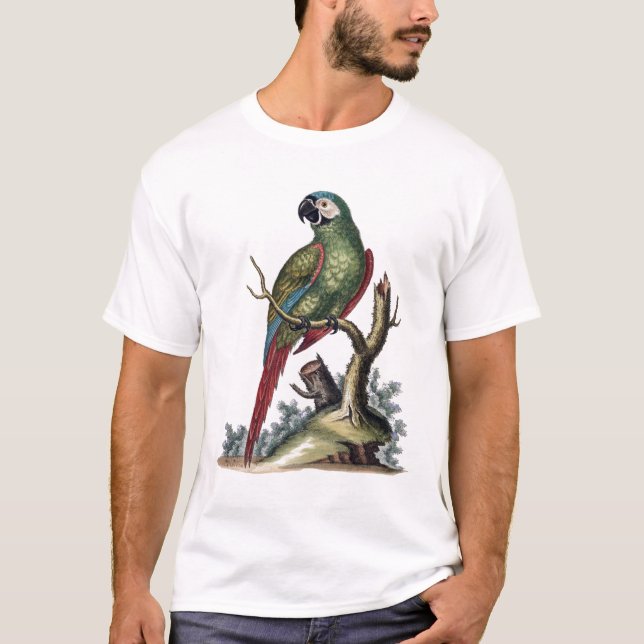 Antique Grönt Parrot T Shirt (Framsida)