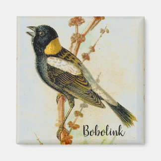 Antique Hand-dragen Bobolink Bird Magnet