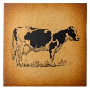 Antique Holstein Cow Farm Animal Illustration Kakelplatta