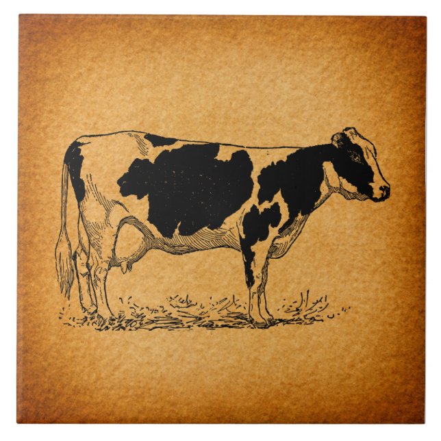 Antique Holstein Cow Farm Animal Illustration Kakelplatta (Framsidan)