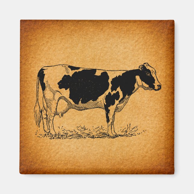 Antique Holstein Cow Farm Animal Illustration Magnet (Framsidan)