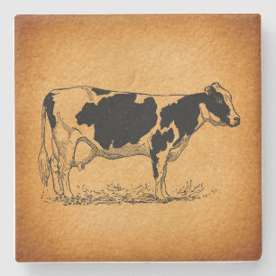Antique Holstein Cow Farm Animal Illustration Stenunderlägg