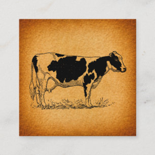 Antique Holstein Cow Farm Animal Illustration Tilläggskort