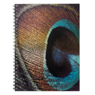 Antique Hues Peacock Feather Öga Anteckningsbok