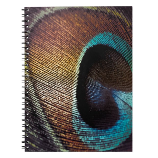 Antique Hues Peacock Feather Öga Anteckningsbok (Framsidan)
