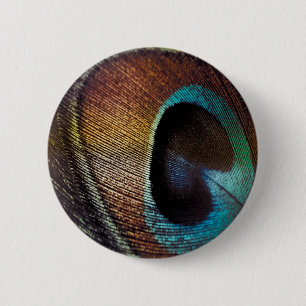 Antique Hues Peacock Feather Öga Knapp