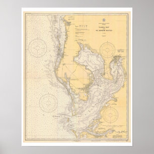 Antique Karta i Tampa Bay Florida Poster