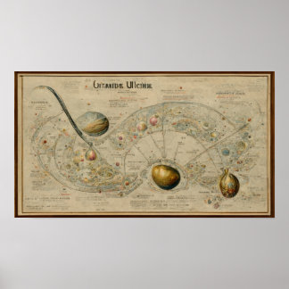 Antique karta of uranus poster