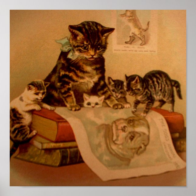 Antique Kittens & Bokar Kattunge School Poster (Framsidan)