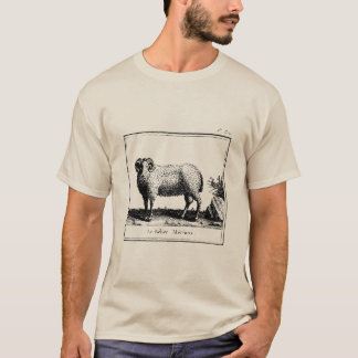 Antique Merino Sheep T Shirt