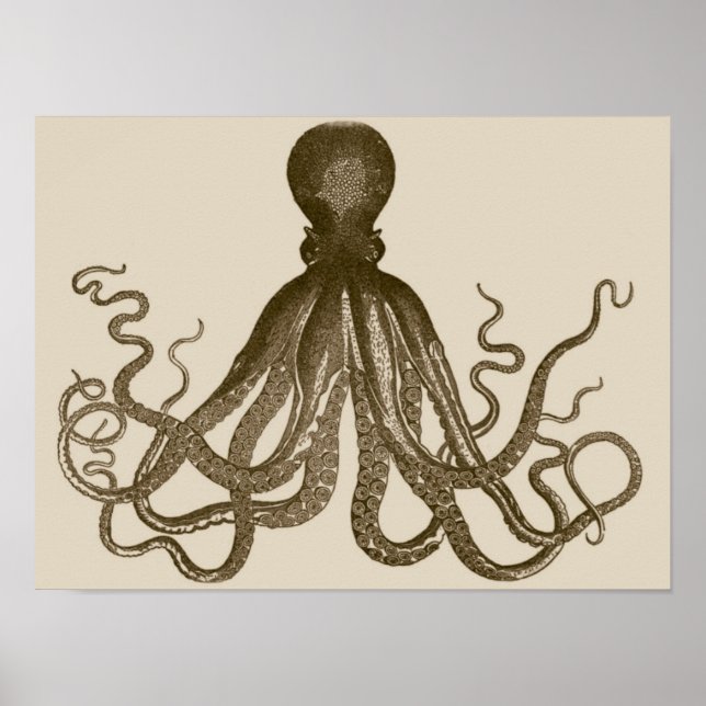 Antique Octopus Poster (Framsidan)