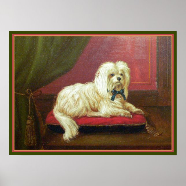 Antique Painting - Pampered Maltese on a Pillow Poster (Framsidan)
