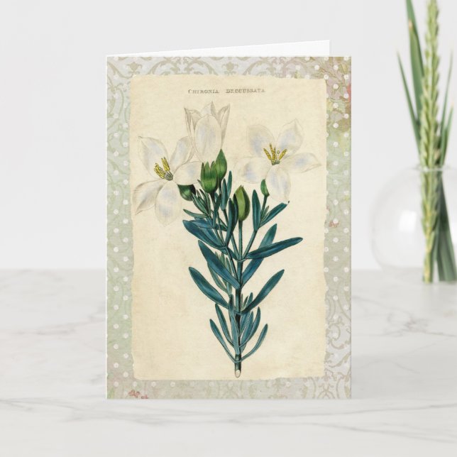 Antique Påsk Lily Helgkort (Framsida)