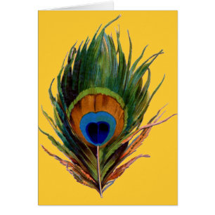Antique Peacock Feather Hälsningskort