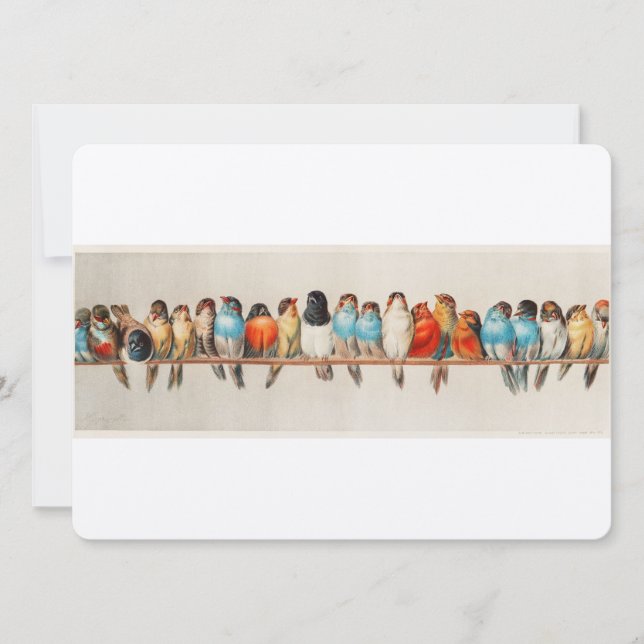 Antique Perch of Birds Hector Giacomelli Inbjudningar (Framsida)